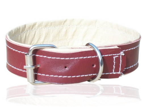 HIGH QUILITY HAND MADE DESIGNING TWO LAYER LEATHER DOG COLLAR (L054C)