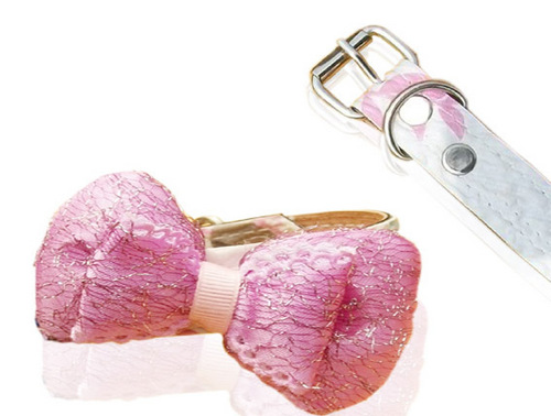 HIGH QUAILITY DESIGNER TWO LAYER LEATHER0ID DOG COLLAR (D013C)