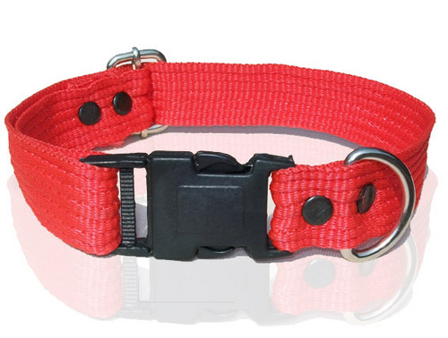 HIGH QUAILITY NYLON DOG COLLAR (N008C)