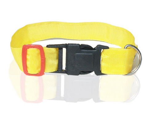 HIGH QUAILITY NYLON DOG COLLAR (N010C)