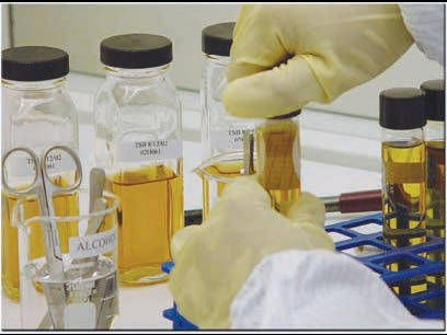 Stability Testing Services