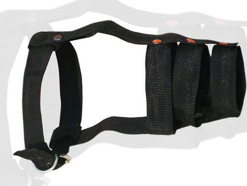 DESIGNER NYLON MUZZLE  (N006M)