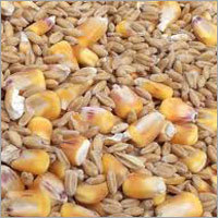 Grain