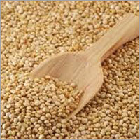 Food Grains