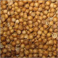 Coriander Seeds