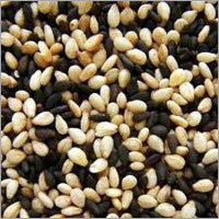Sesame Seeds