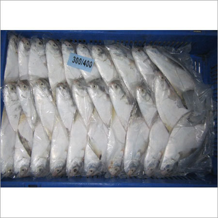 Frozen Fish