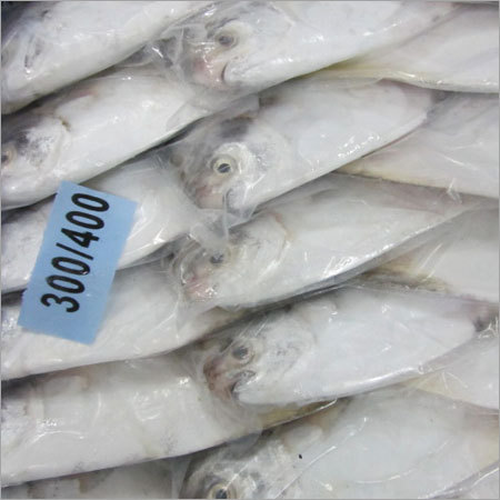 Frozen Fresh Water Fishes