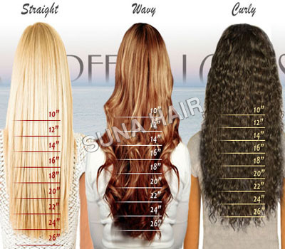 Hair Length Chart at Best Price in Chennai, Tamil Nadu | Suna Hair