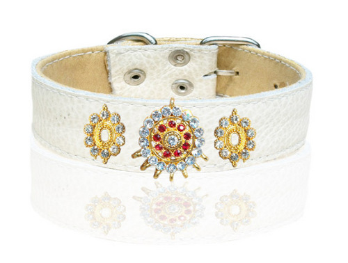 डिजाइनर बिल्ली और क्रिस्टल गौण के साथ पिल्ला गौइन चमड़े का कॉलर