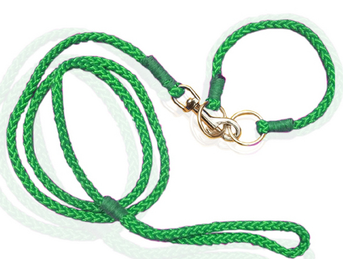 DESIGNER CAT AND PUPPY NYLON LEASH