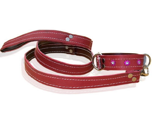 DESIGNER CAT AND PUPPY GANUINE LEATHER COLLAR AND LEASH WITH CRYSTAL 