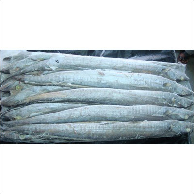 Ribbon Fish - Trichiurus Lepturus, Variable Length, Gray | Delicious Taste, Fresh Catch, High Quality, Premium Texture, Sustainably Sourced, Versatile Uses, Cleaned, Frozen, Bulk Packaging