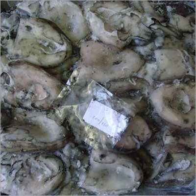 Silver.Croaker-Yellow.Croaker-Squids-Cuttlefish