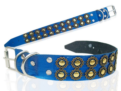 DESIGNER CAT AND PUPPY LEATHEROID COLLAR