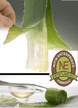 Aloe Vera Gel