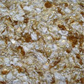 Eco Wall Decor