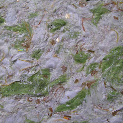Wall Covering