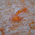 Yisenni Cotton Wall
