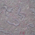 Yisenni Wall Finishes