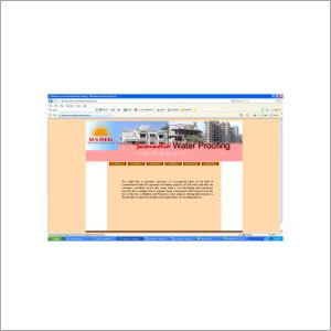 Customized Web Designing