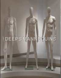 Male Mannequins - Age Group: Adults