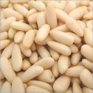 Pine Nut