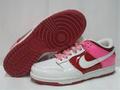 Nike Dunks Shoes-3812