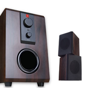 Professional Speaker Systems
