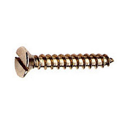 Wooden Screw