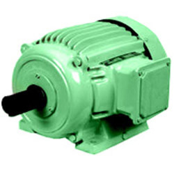 Ms And Iron 3 Phase Induction Motor