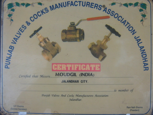 Valves ( 4080 )