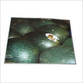 Emu Birds Egg