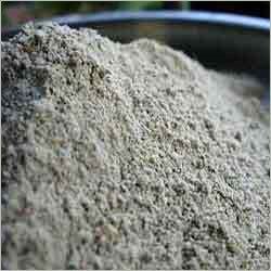 Mint Leaves Powder