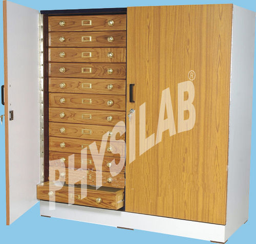 Insect Showcase Cabinet Large