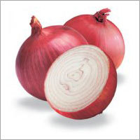 Fresh Onion