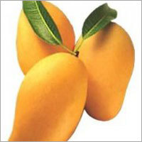 Fresh Mangoes