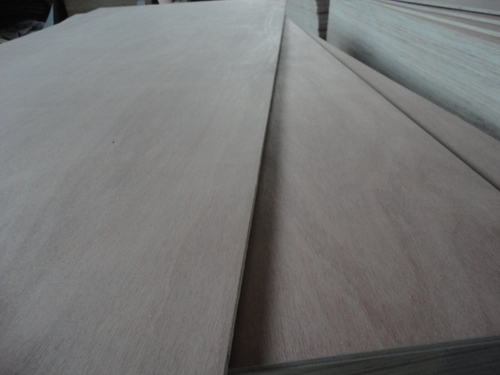 Gurjan Face And Back Plywood