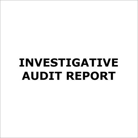 Investigative Audit Report