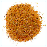 Poppy Seed