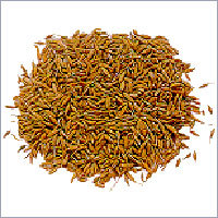 Caraway Seed