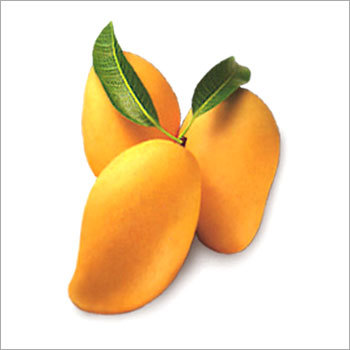 Kesar Mango