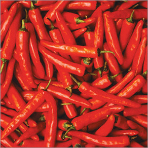 Red Chilli