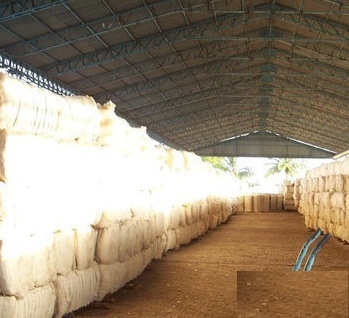 Cotton Waste