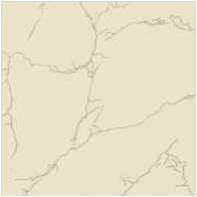 Febbia Vitrified Tiles