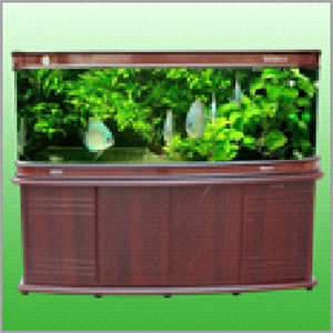 Imported Aquariums