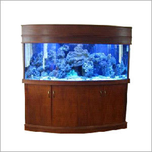 Imported Fish Aquariums