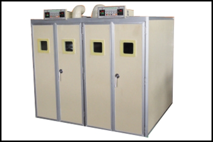Hatching Services - Steel/Aluminum 1500x1200x2000mm, Automatic Temperature & Humidity Control, Emu Egg Incubation