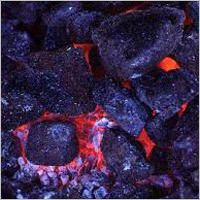 Steam Coal