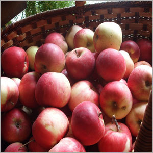 Apples